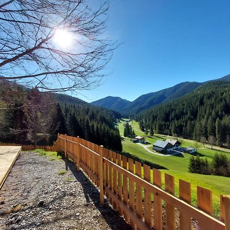 Huette Neuhaus Villa Annaberg im Lammertal Exterior photo