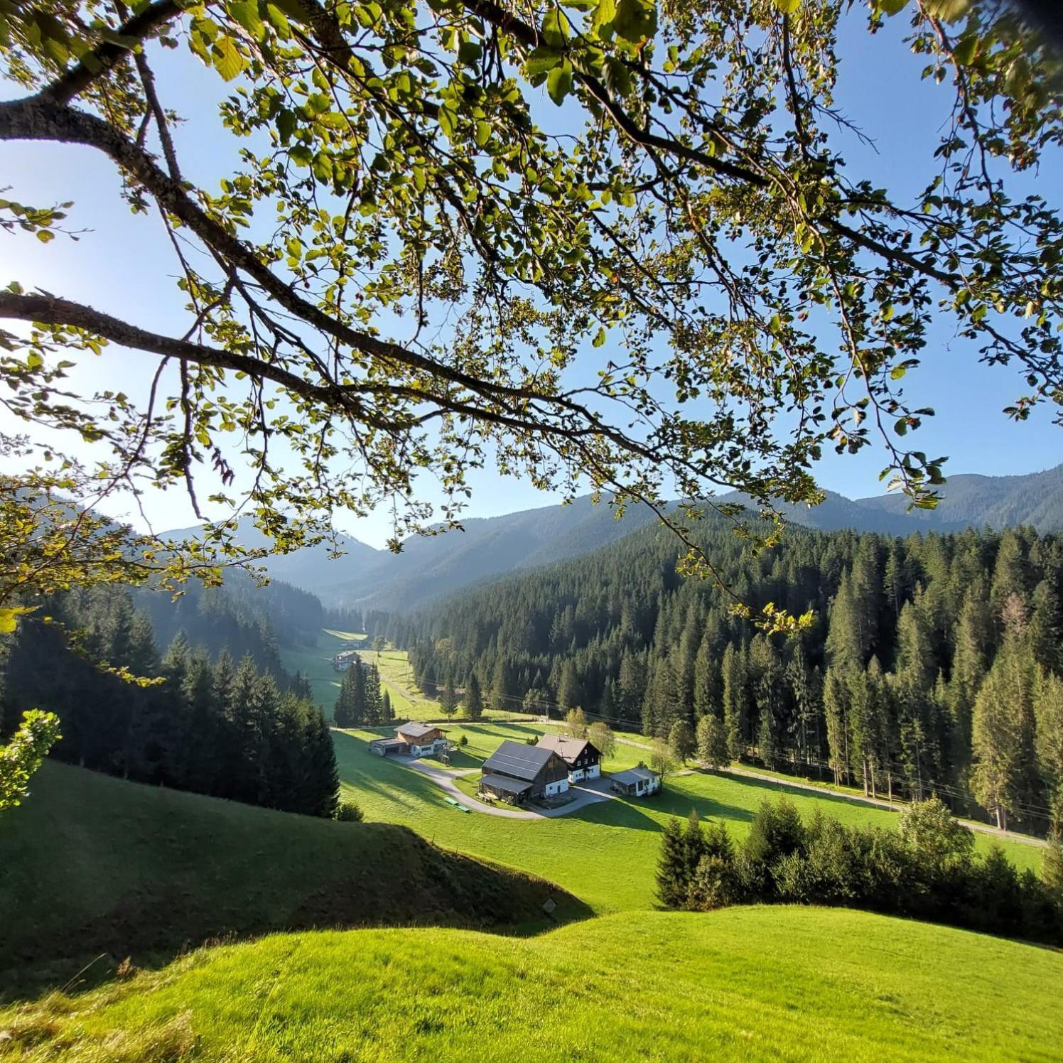 Huette Neuhaus Villa Annaberg im Lammertal Exterior photo