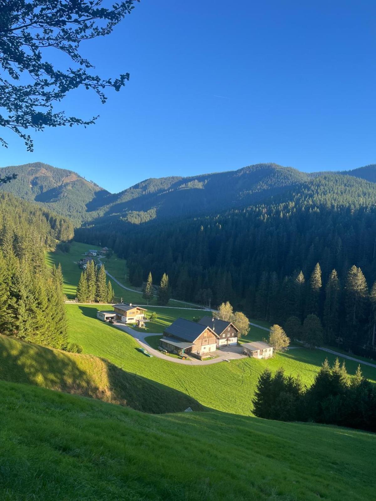 Huette Neuhaus Villa Annaberg im Lammertal Exterior photo