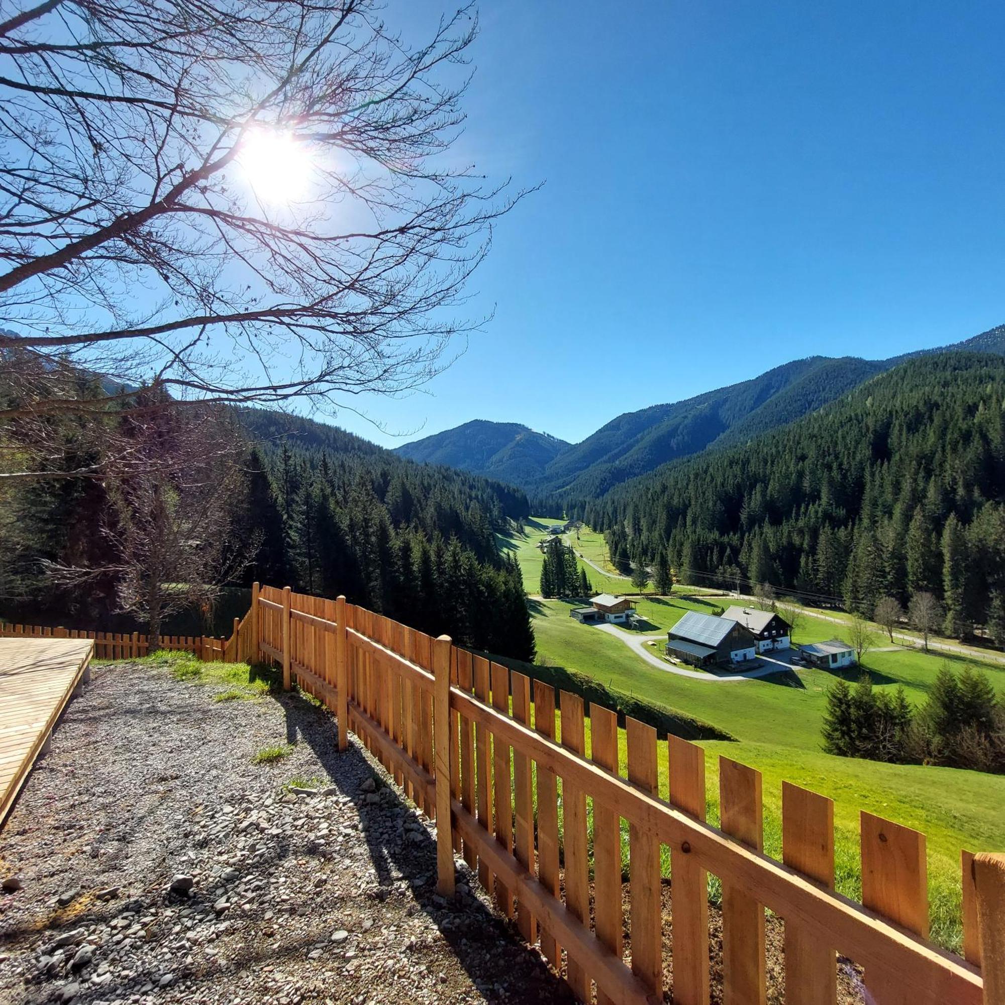 Huette Neuhaus Villa Annaberg im Lammertal Exterior photo
