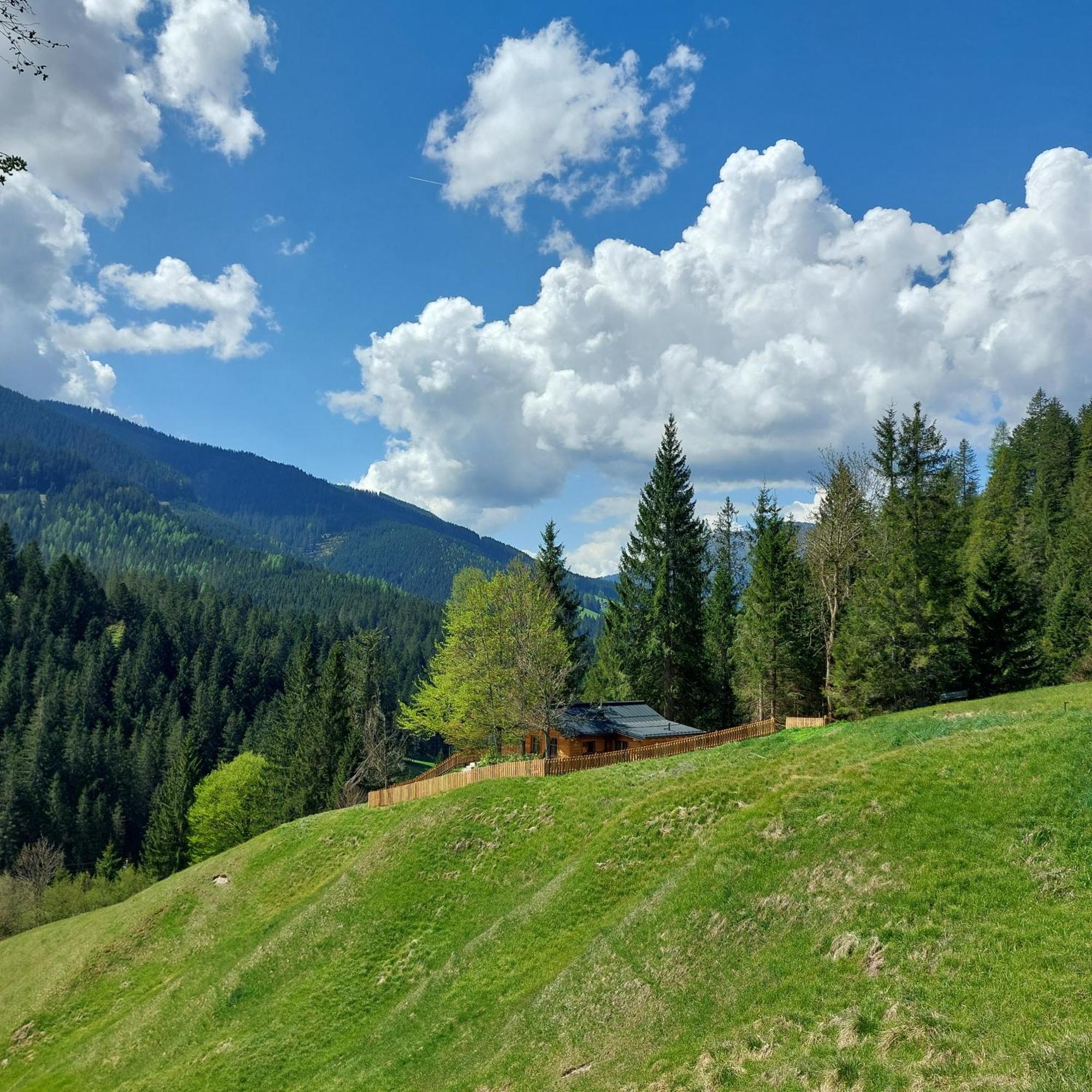 Huette Neuhaus Villa Annaberg im Lammertal Exterior photo